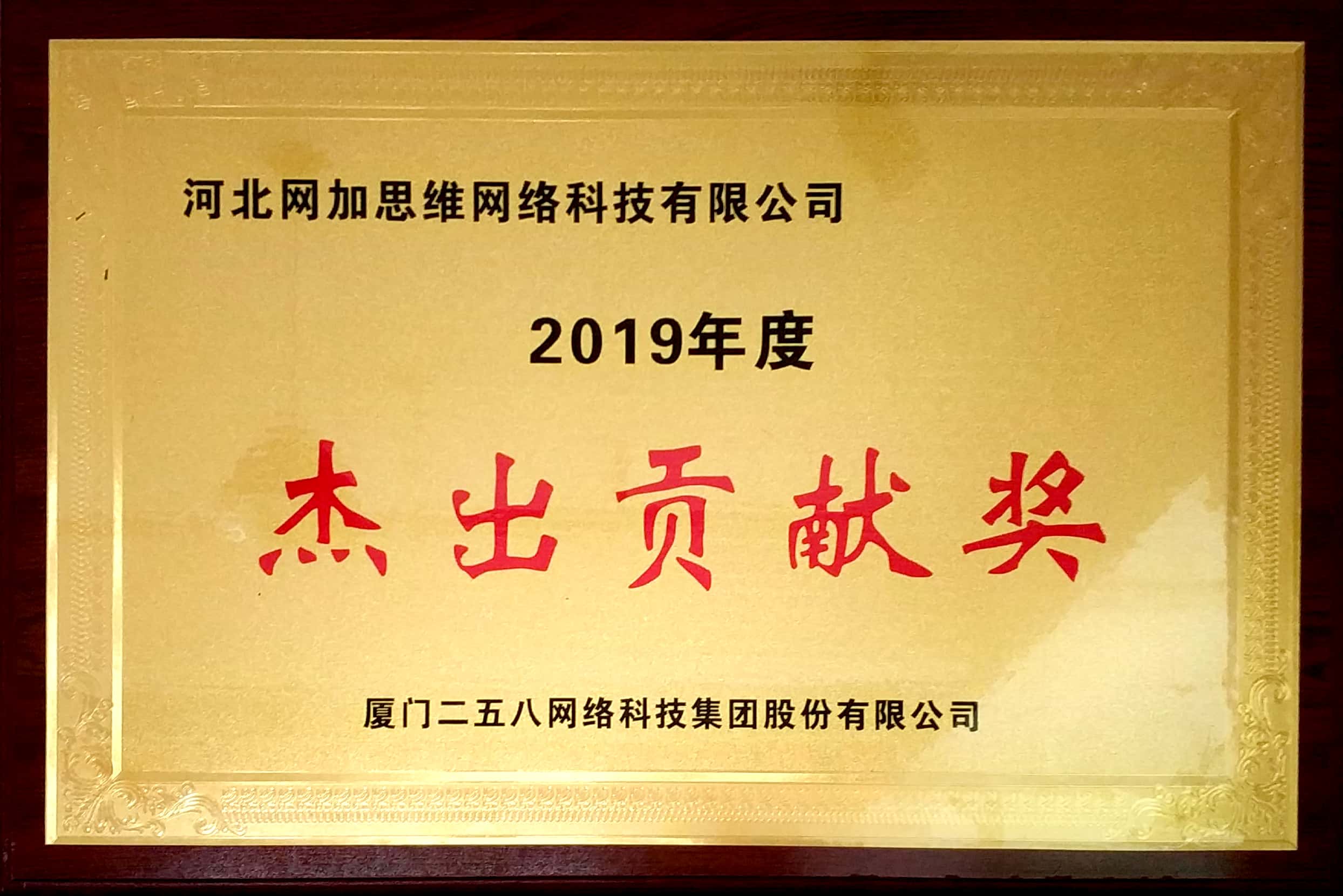 2019年度杰出貢獻(xiàn)獎(jiǎng)
